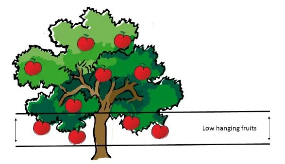 Low hanging fruit